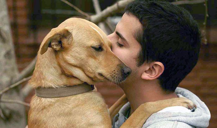Dogs Understand Words and Intonation of Human Speech, says new research