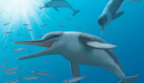 Fossils preserve ear of prehistoric whale, says new research