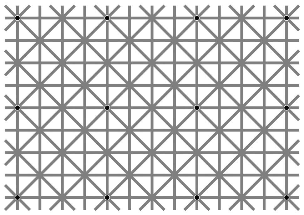 Can You See All Twelve Black Dots At Once?