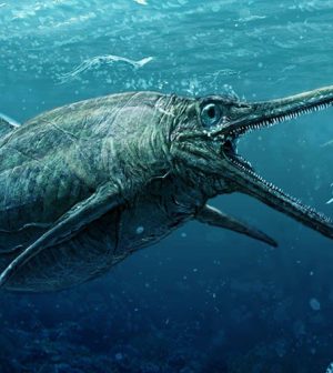 Real Loch Ness Monster Discovered in Scotland - Web Top News