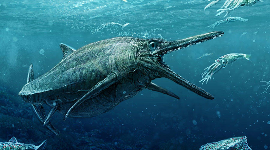 Real Loch Ness Monster Discovered in Scotland