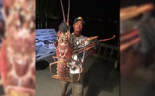 Giant lobster caught off Bermuda, possibly blown in by hurricane