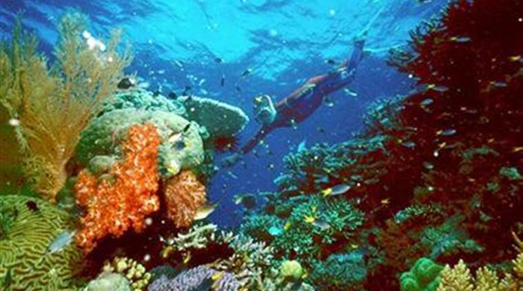 British tourist dies on the Great Barrier reef