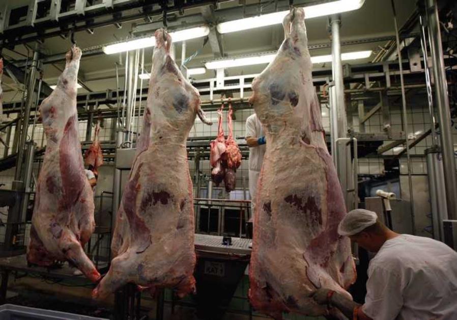 Belgium bans Halal and Kosher meat, Reports