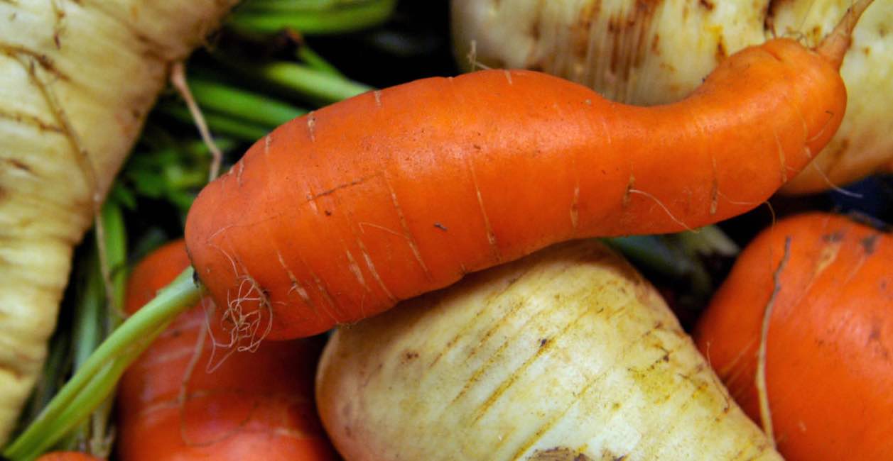 'Wonky veg' should be sold as standard to cut food waste, Reports