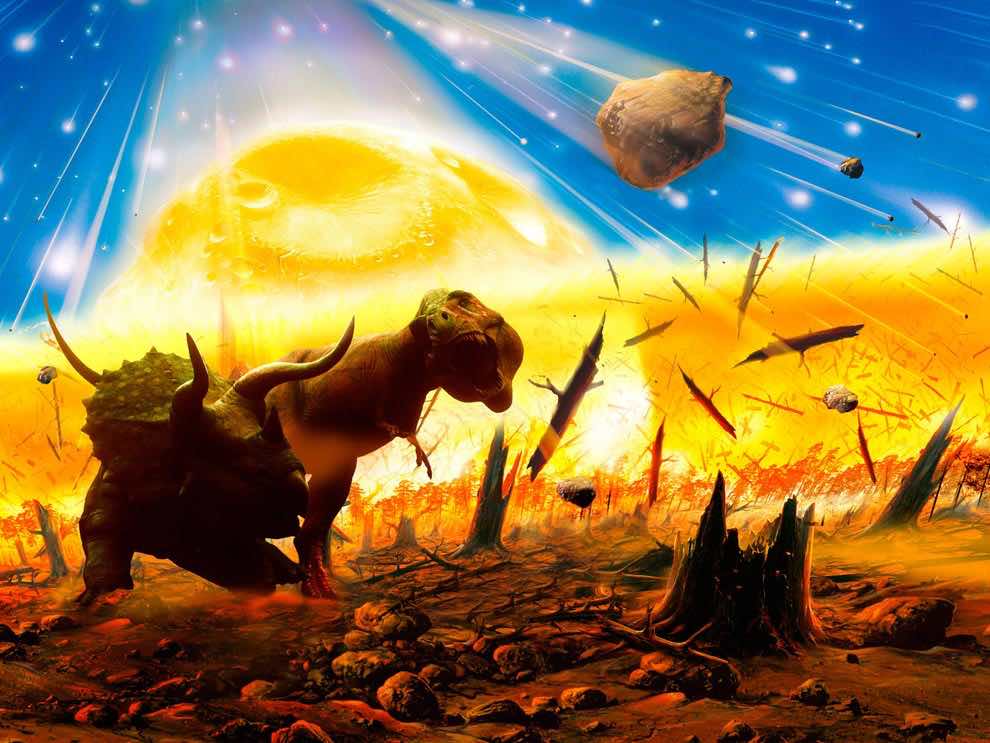 Global Mass Extinction Event Coming In 2100, Professor Says