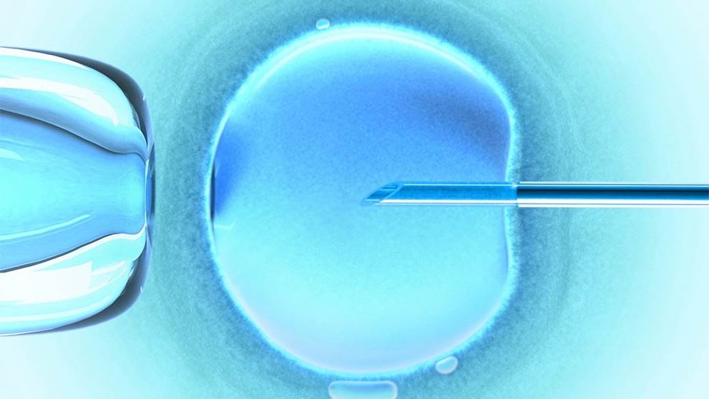 Father loses £1m IVF damages claim