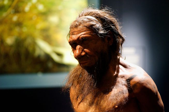 Modern-day traits are inherited from Neanderthal DNA, Researchers Say