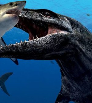 New prehistoric sea monster species identified: Melksham Monster - Web ...