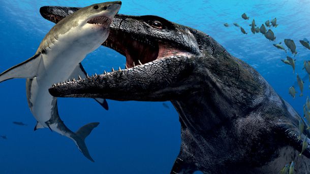 New prehistoric sea monster species