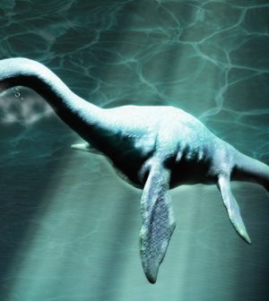 Ancient Sea Monster lived in Antarctic 150 million years ago - Web Top News