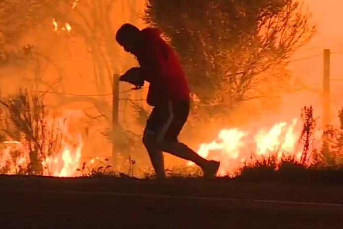 Man rescues rabbit from wildfire on side of Calif. highway (Video)