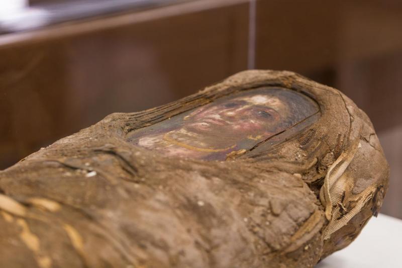 Particle Accelerator Peers Inside Ancient Egyptian Mummy