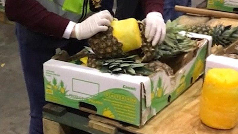 Cocaine packed inside pineapples (Video)