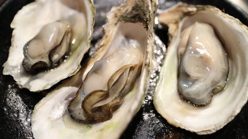 Flesh-eating bacteria kills Texas woman who ate raw oysters (Watch)