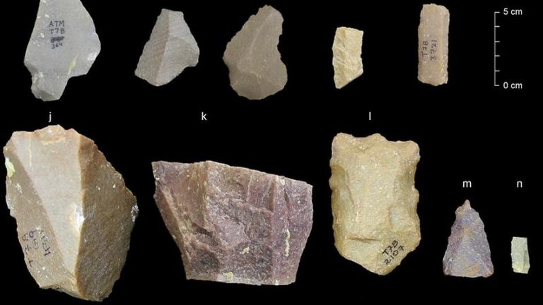 Ancient advanced tools found in India, researchers say - Web Top News