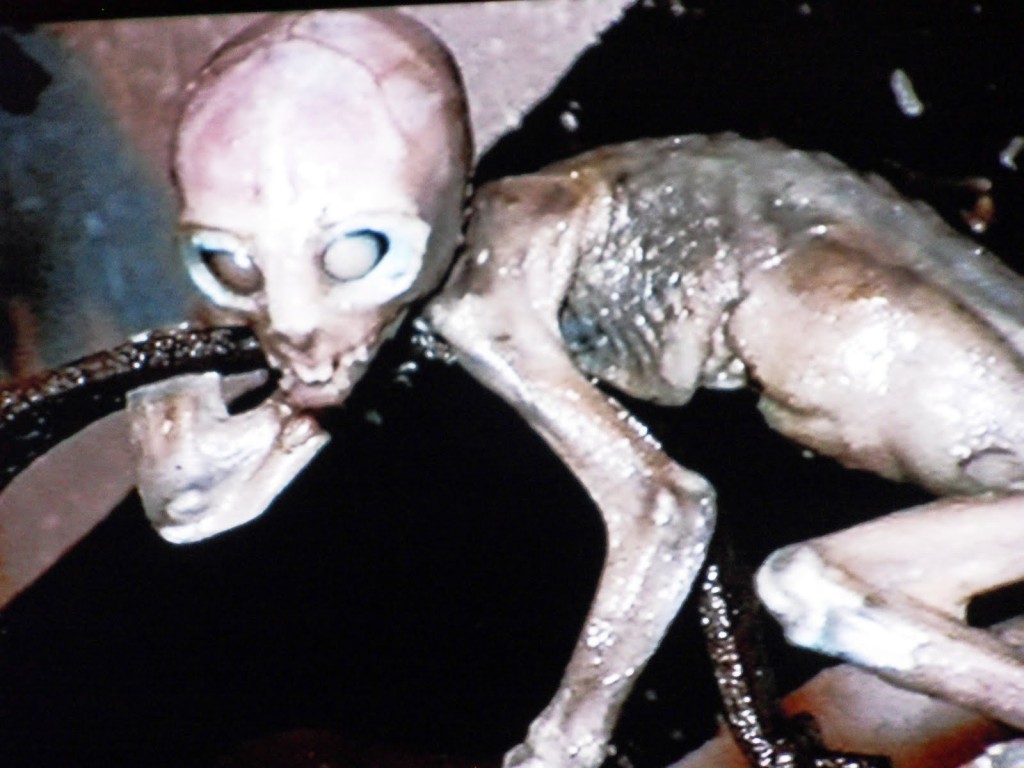 Alien skeleton mystery revealed with DNA analysis