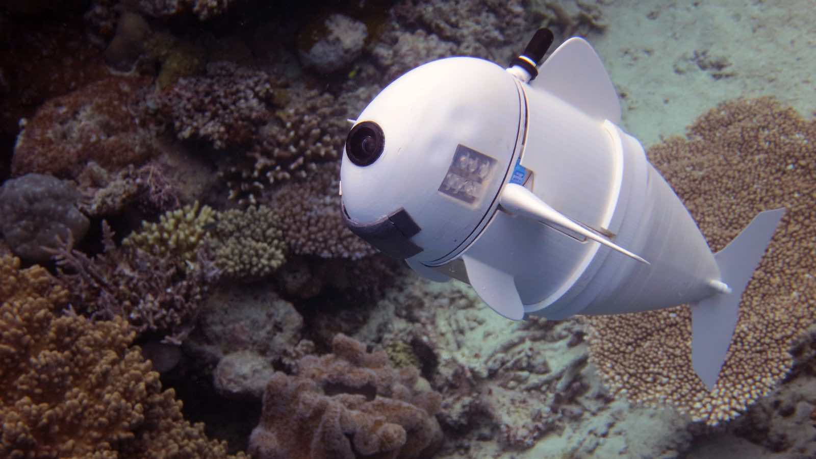 MIT's robot fish is eerily realistic (Watch)