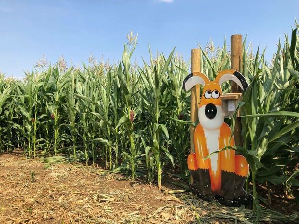 Giant ‘Gromit’ spotted in field near Bristol