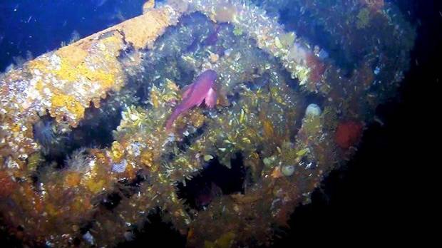 WWII Shipwreck Found In Alaska's Aleutian Islands