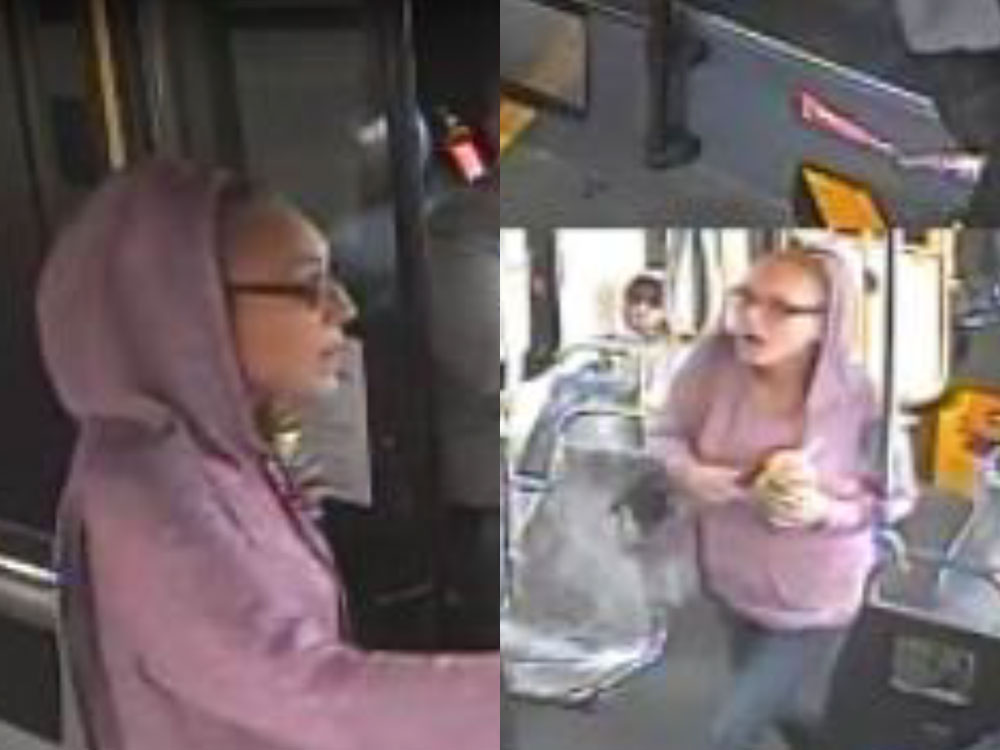 Calgary bus hate crime: police investigating alleged racial assault