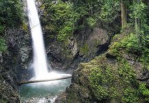 Boy attacked by cougar in Cascade Falls Regional Park Boy attacked by cougar in Cascade Falls Regional Park