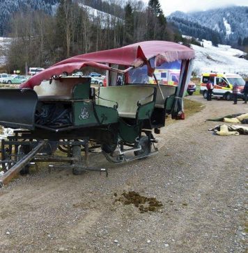 Horse Carriages Collide in Germany injures 20 (Reports) Horse Carriages Collide in Germany injures 20 (Reports)