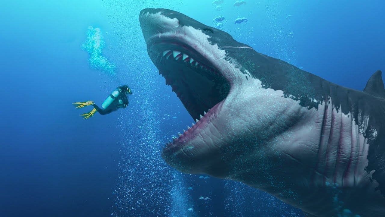 Megalodon: Did a nearby supernova cause one of Earth's mass extinctions?