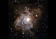 NASA Hubble cosmic holiday wreath (Reports) NASA Hubble cosmic holiday wreath (Reports)