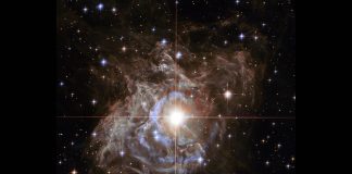 NASA Hubble cosmic holiday wreath (Reports) NASA Hubble cosmic holiday wreath (Reports)