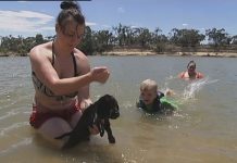 Australia hottest days on record, severe conditions will return next week Australia hottest days on record, severe conditions will return next week