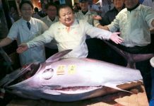 Bluefin tuna sells for record $3 million at Tokyo auction Bluefin tuna sells for record $3 million at Tokyo auction