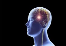 Brain works backwards to retrieve memories (New Study) Brain works backwards to retrieve memories (New Study)