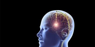 Brain works backwards to retrieve memories (New Study) Brain works backwards to retrieve memories (New Study)