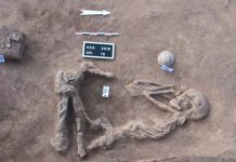 Egypt, Nile Delta: Archaeologists find ancient tombs Egypt, Nile Delta: Archaeologists find ancient tombs
