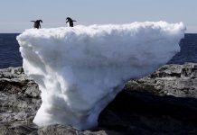 Greenland’s ice melting rate reaching “tipping point” (Reports) Greenland's ice melting rate reaching "tipping point" (Reports)