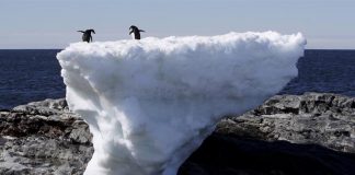 Greenland’s ice melting rate reaching “tipping point” (Reports) Greenland's ice melting rate reaching "tipping point" (Reports)