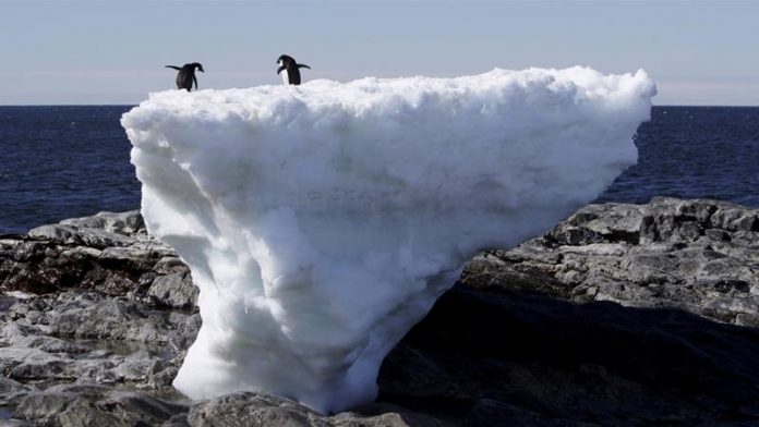 Greenland's ice melting rate reaching 