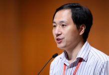 He Jiankui behind gene-edited babies acted on his own, Report He Jiankui behind gene-edited babies acted on his own, Report
