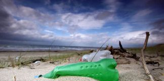 Magdalen Island bottles: “After a big storm, it’s fun to go searching” Magdalen Island bottles: “After a big storm, it’s fun to go searching”
