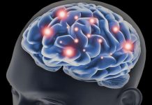 Restoring Memory Function In Familial Alzheimer’s May Be Possible (Study) Restoring Memory Function In Familial Alzheimer's May Be Possible (Study)