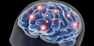 Restoring Memory Function In Familial Alzheimer’s May Be Possible (Study) Restoring Memory Function In Familial Alzheimer's May Be Possible (Study)