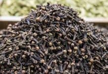 Scientists may have found the world’s oldest clove in Sri Lanka Scientists may have found the world's oldest clove in Sri Lanka