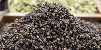 Scientists may have found the world's oldest clove in Sri Lanka