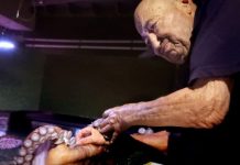 Wilson Menashi, Man Known As the ‘Octopus Whisperer’ Wilson Menashi, Man Known As the ‘Octopus Whisperer’