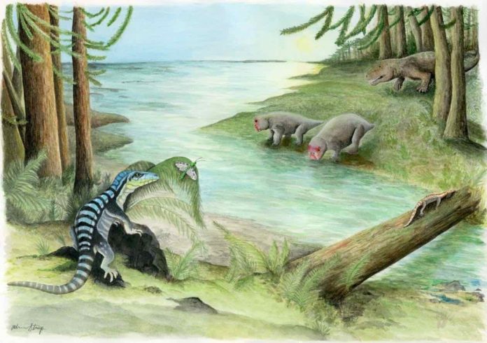 Antarctic king fossil, Tyrannosaurus rex may have reigned as “king of the tyrant lizards”