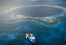 Belize blue hole: Secrets of the world’s largest sinkhole Belize blue hole: Secrets of the world's largest sinkhole