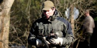 Fugitive monkeys back at Berlin zoo, Report Fugitive monkeys back at Berlin zoo, Report