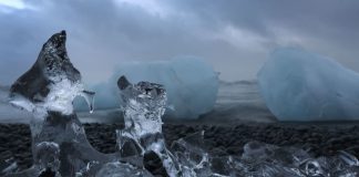 Iceberg Water Theft Took Guts, Stupidity According To Vodka CEO Iceberg Water Theft Took Guts, Stupidity According To Vodka CEO