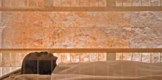 New curses from Tut, others asked for blessings from the boy king New curses from Tut, others asked for blessings from the boy king